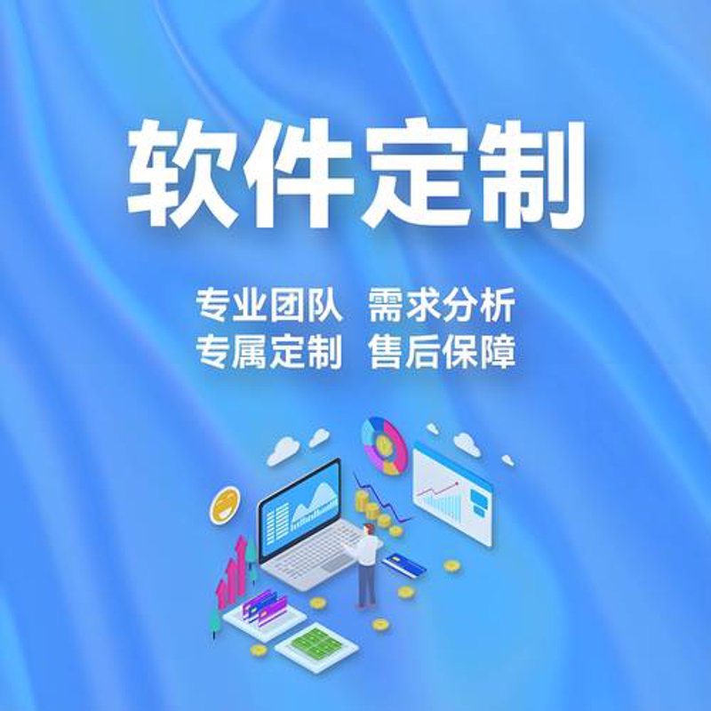 企业软件定制：助力信息化管理升级