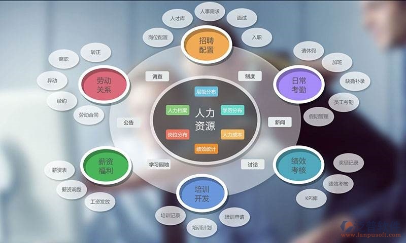 定制化企业软件：引领未来商务潮流